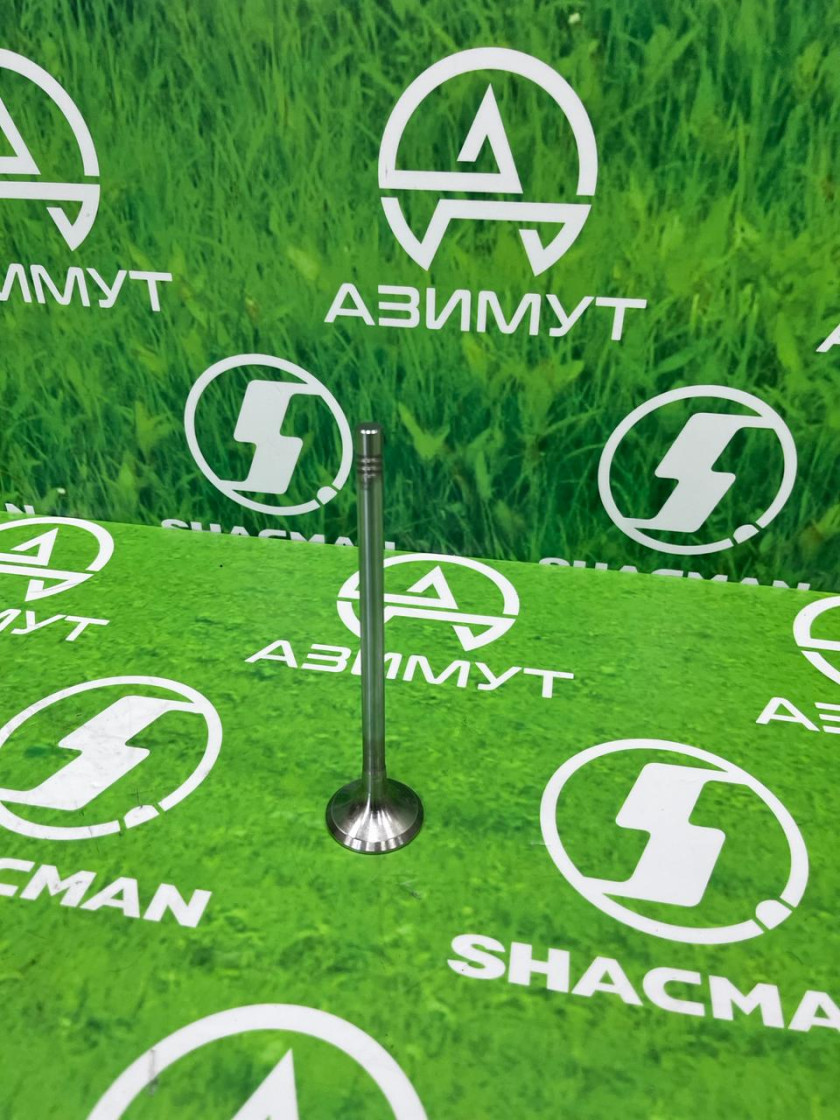 Клапан выпускной WP12 61263005002(М) Клапан выпускной WP12 61263005002(М)