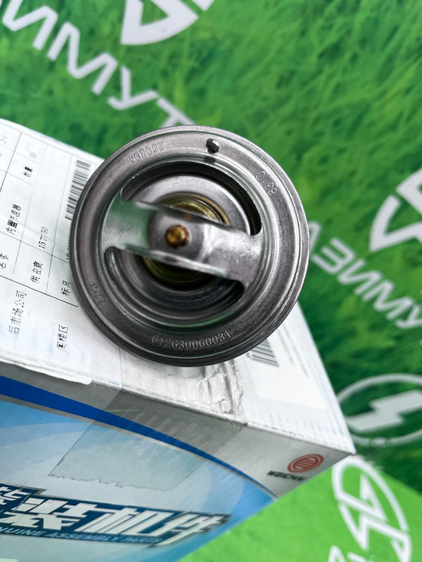 Термостат WP12/WP10.336E53 83 г VG1246060024/612630060031(м) Термостат WP12/WP10.336E53 83 г VG1246060024/612630060031(м)