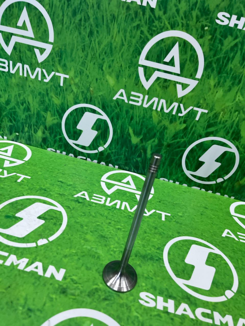 Клапан впускной WP13 1000059343(М) Клапан впускной WP13 1000059343(М)