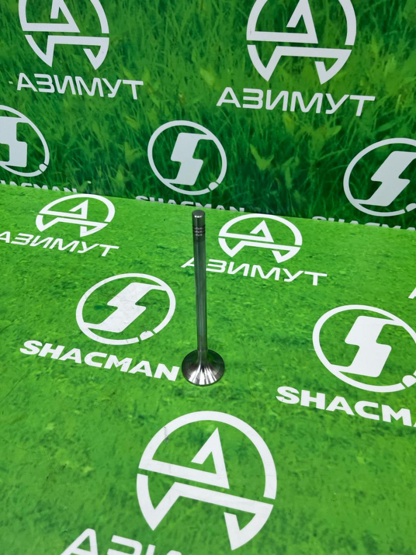 Клапан выпускной WP13 1000059377(М) Клапан выпускной WP13 1000059377(М)