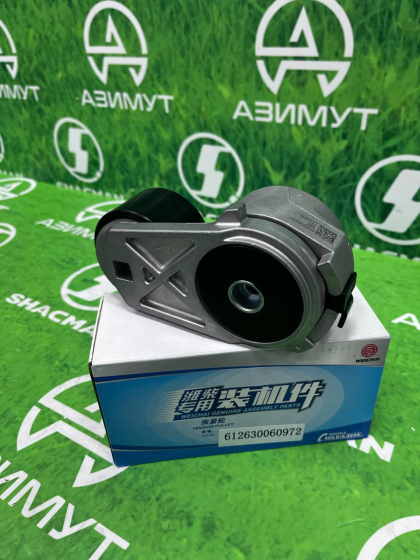 Ролик натяжителя WP12/WP13 Eвро-5 612630060972 (М) Ролик натяжителя WP12/WP13 Eвро-5 612630060972 (М)